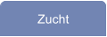 Zucht