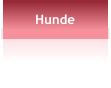 Hunde