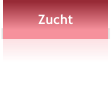 Zucht